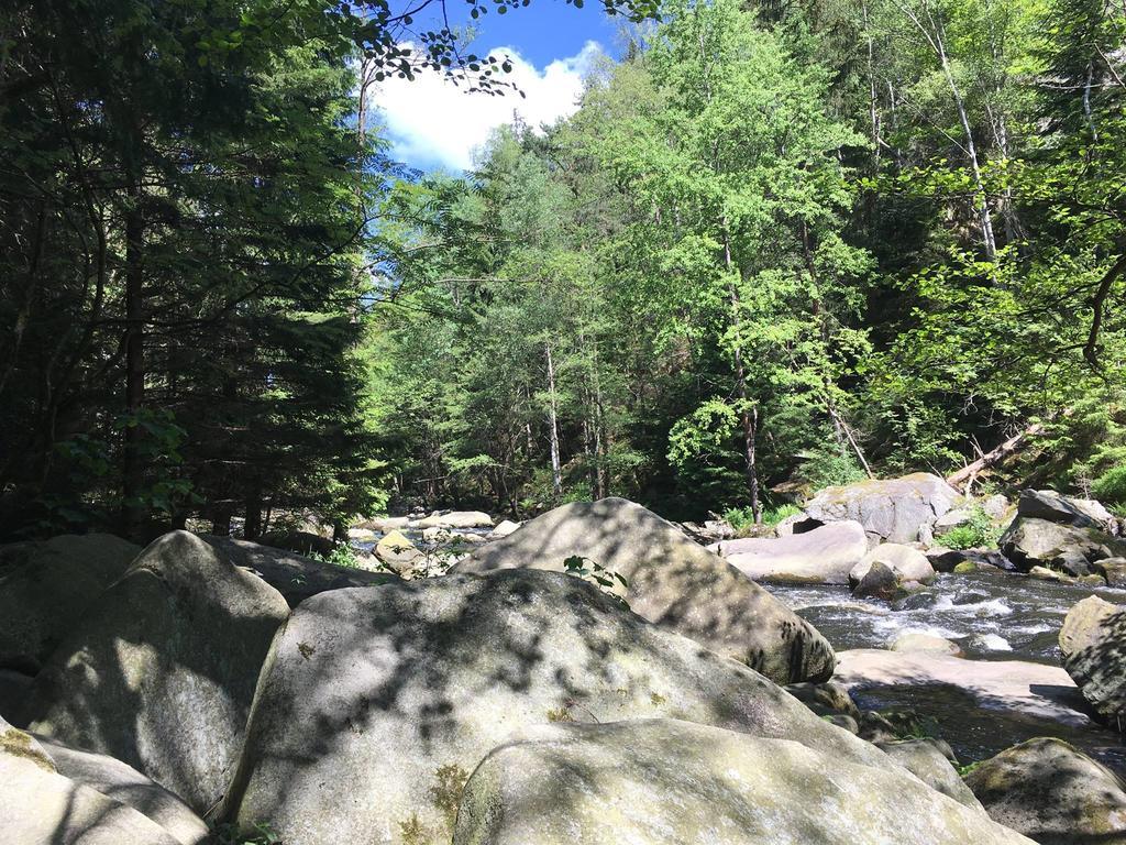 Apartman S Vyhledem Na Jezero Lipno nad Vltavou Exteriör bild